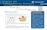 Aprenda Sobre: La Infección Urinaria (Carta 11)