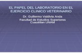 Ejercicio Clinico1