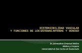Distensibilidad vascular y sistema linfático dr. johnnathan molina