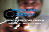 Introducción a la psic criminal