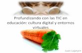 Profundizando con las TIC en educacion: cultura digital y entornos virtuales