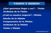 Vision mision