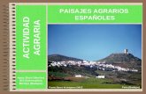 Paisajes agrarios españoles