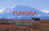 Tundra power