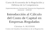 Introduccon al calculo del costo de capital en empresas reguladas (1)
