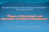 Plagas y enfermedades más relevantes en cultivos hidropónicos ucr eeafbm (fr)
