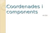 Coordenades I Components