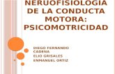 Neurofisiología de la conducta motora, psicomotricidad