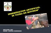 Inseminacion artificial in vitro en bovinos