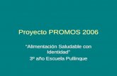 Proyecto  P R O M O S 2006