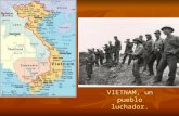 Vietnam guerra power