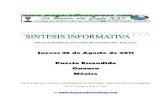 Sintesis informativa  2508 2011