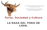 Toros, sociedad y cultura