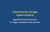 Historia de la cirugia laparoscopica