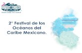 Festival de los oceanos 2014 cancun