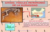 SITIOS FÓSILES PATRIMONIO DE LA HUMANIDAD