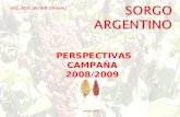 Charla Sorgo Perspectivas 0809 Csuarez (2)