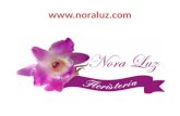 noraluz.com Floristería