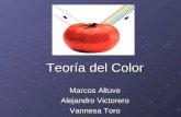 Presentación Teoria Del Color