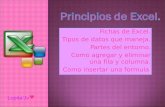 Principios de Excel-Lupita Jerez