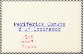 Periferics comuns d_un_ordinador