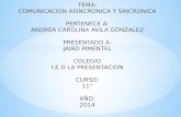 Comunicacion asincronica y sincronica de andrea avila