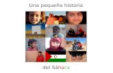 Una pequeña historia del Sáhara