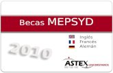 Presentación Becas MEPSYD 2010