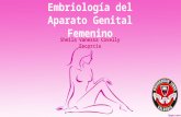 Embriología del aparato genital femenino