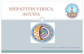Hepatitis virica aguda