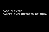 Cancer inflamatorio hd - Dr. Jesus Torres Vazquez