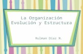 Evolucion organizacional