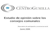 II Investigacion Consejos Comunales en Venezuela