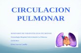 Fisiología respiratoria. Circulación pulmonar