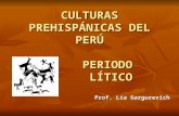 CULTURAS PREHISPÁNICAS DEL PERÚ - PERIODO LÍTICO