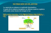 Nutrici³N Plantas
