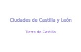 Castilla y leon