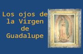 El milagro de los ojos de la Virgen de Guadalupe