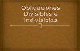 Obligaciones divisibles e indivisibles