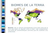 Biomes Intertropical