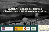 GLORIA: Impacto del Cambio Climático en la Biodiversidad Andina. María Teresa Becerra