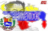 Escuelas Y Liceos Bolivarianos