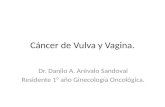 Cáncer de vulva y vagina