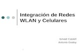 IntegracióN De Redes Wlan Y Celulares V4