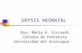Sepsis neonatal 2012 (1)