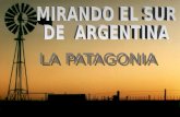 Argentina   Patagonia