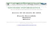 Sintesis informativa 07 06 2012