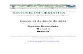 Sintesis informativa 14 06 2012