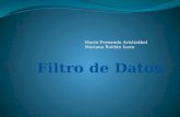 Presentacion filtro de datos