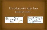 evolucion de las  especies